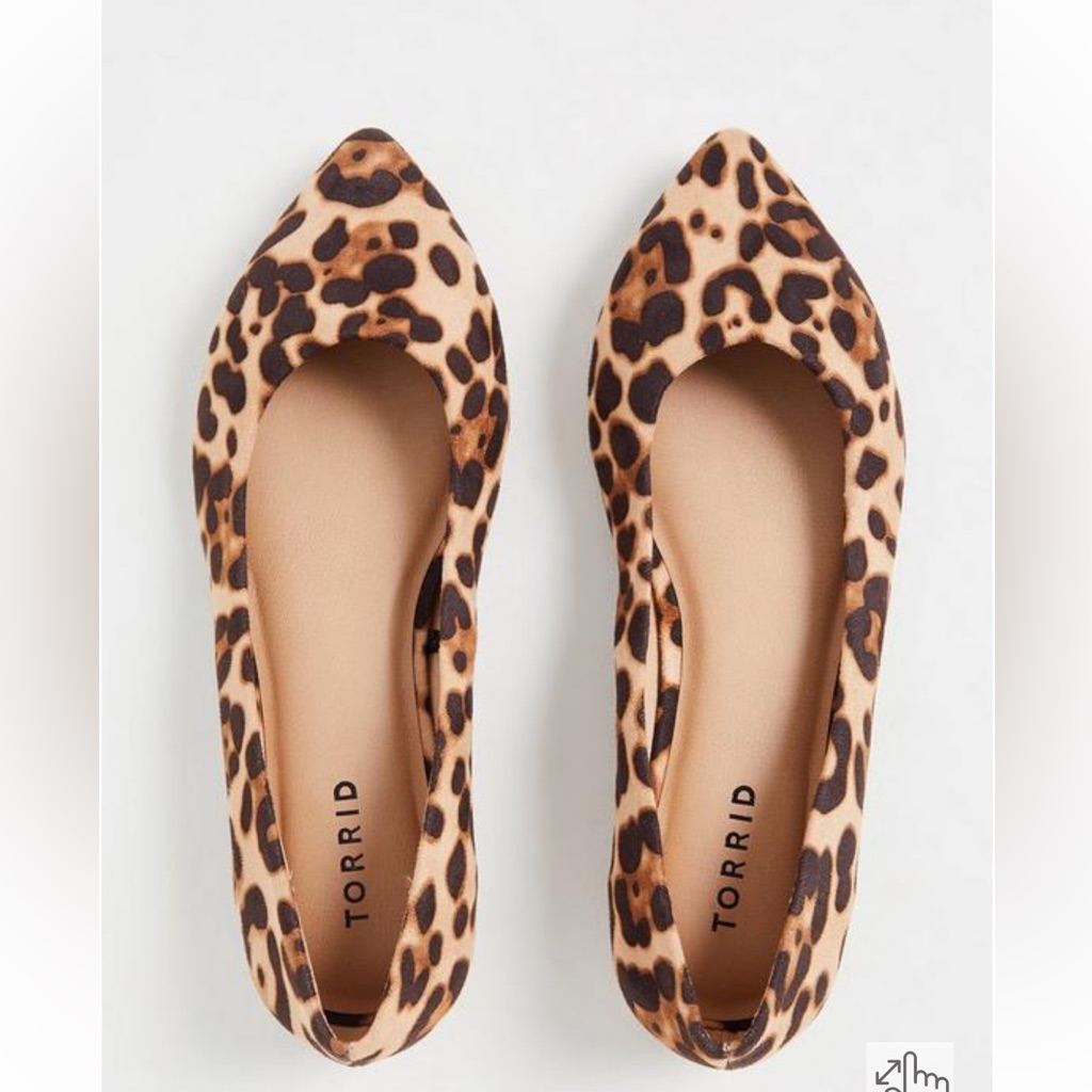 Cheetah Pointer Toe Flats